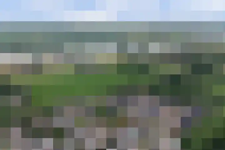Blauwstraat 6 Maasbommel thumbnail 60