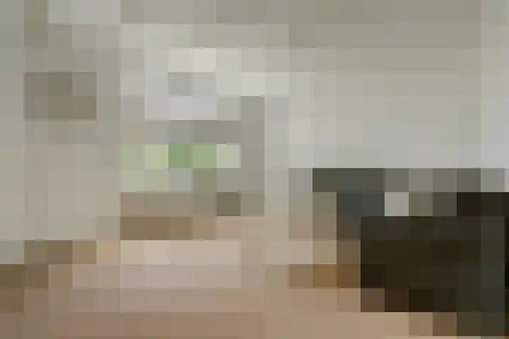 Blauwstraat 6 Maasbommel thumbnail 7