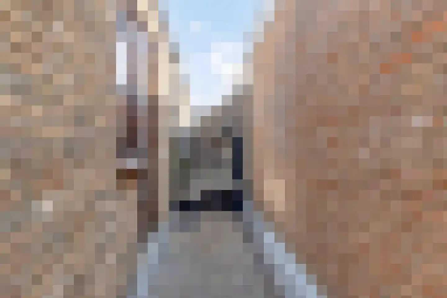 Blauwstraat 7 a Steenbergen thumbnail 38