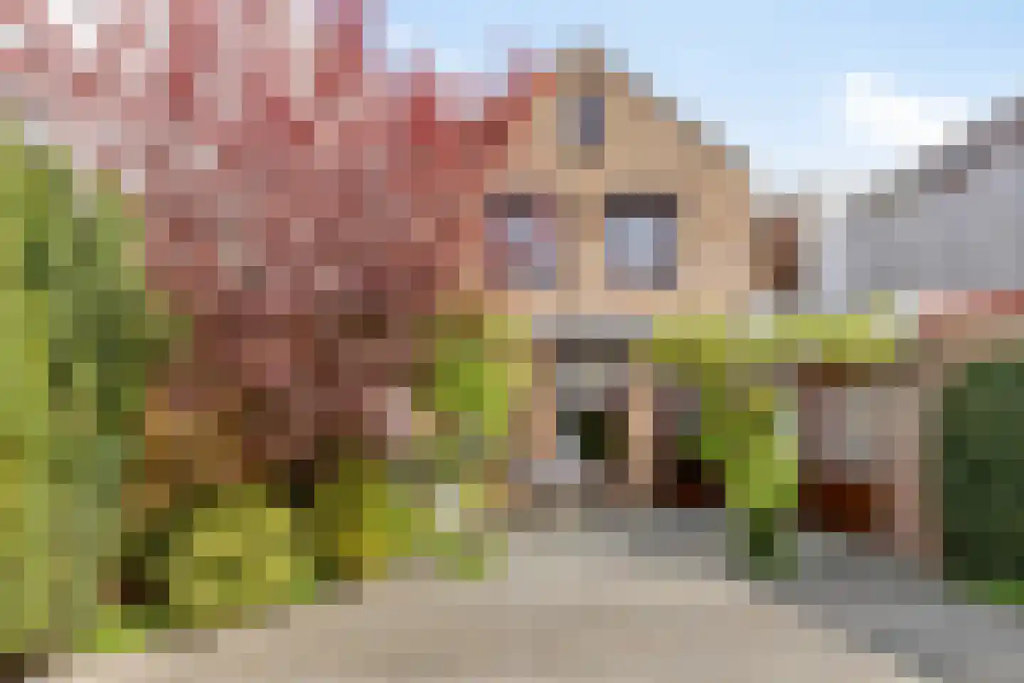 Blauwstraat 7 a Steenbergen thumbnail 45
