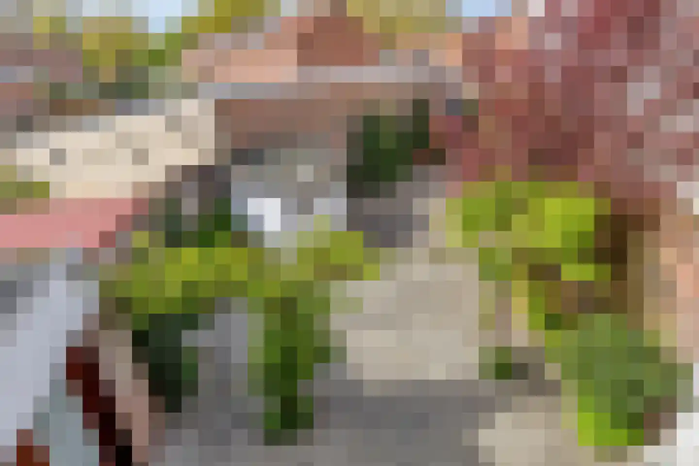 Blauwstraat 7 a Steenbergen thumbnail 47