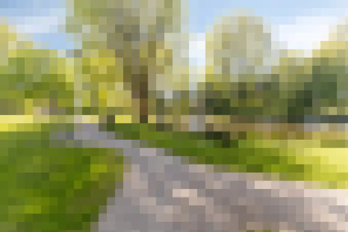 Blauwstraat 7 a Steenbergen thumbnail 53