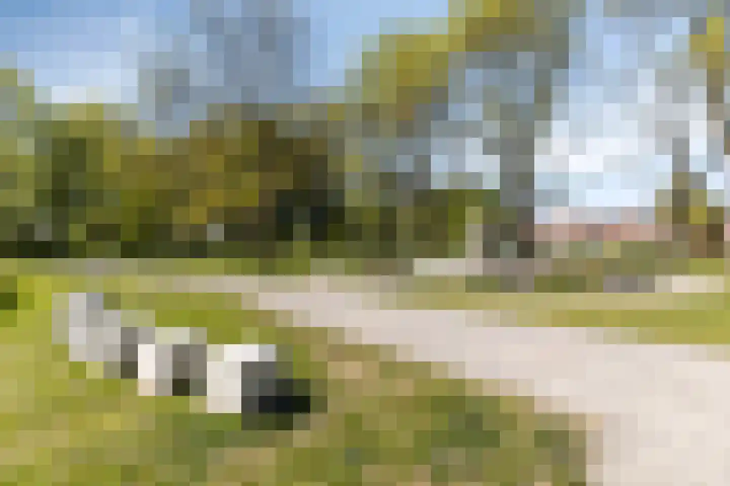 Blauwstraat 7 a Steenbergen thumbnail 54