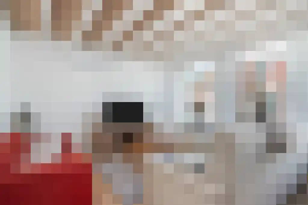 Blauwstraat 75 Steenbergen thumbnail 6