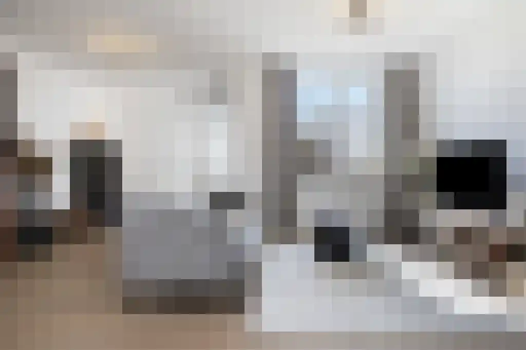 Blauwstraat 75 Steenbergen thumbnail 7