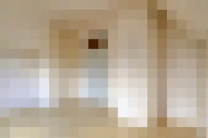 Blauwstraat 8 Maasbommel thumbnail 21