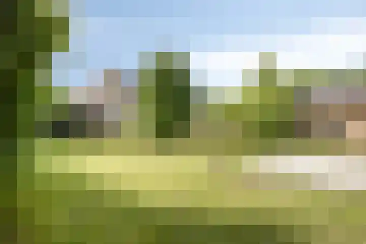 Blauwstraat 8 Maasbommel thumbnail 26