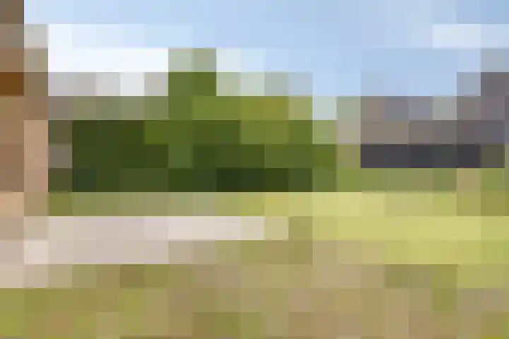 Blauwstraat 8 Maasbommel thumbnail 27