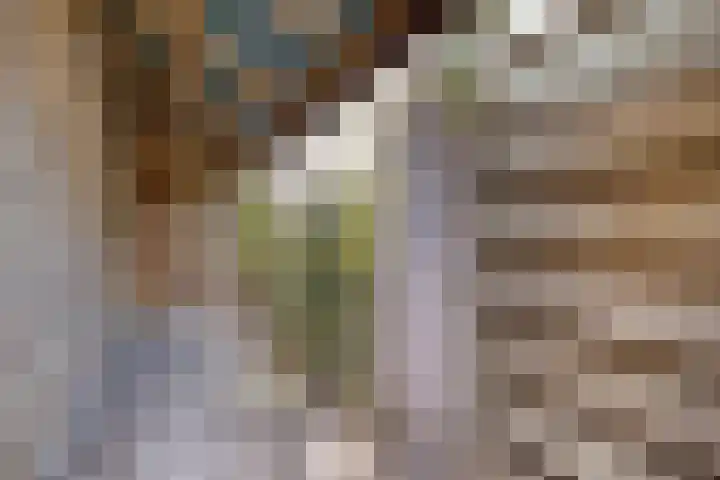 Blauwstraat 8 Maasbommel thumbnail 32