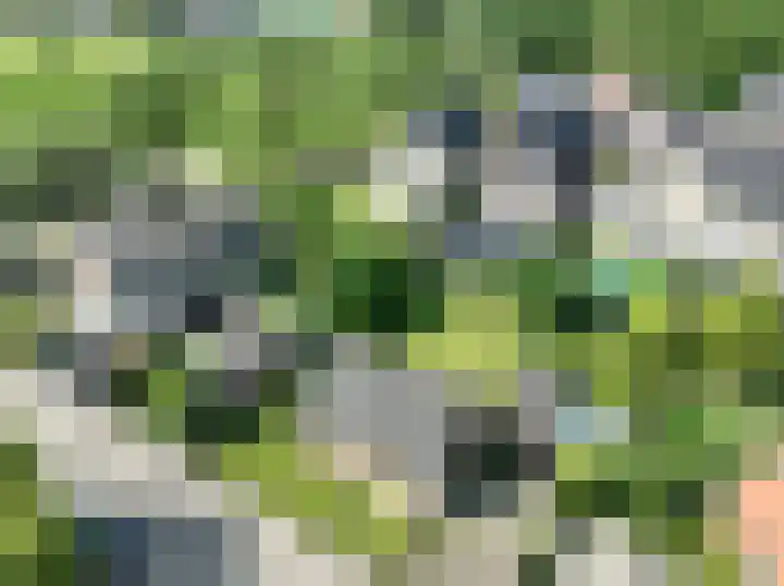 Blauwstraat 8 Maasbommel thumbnail 34