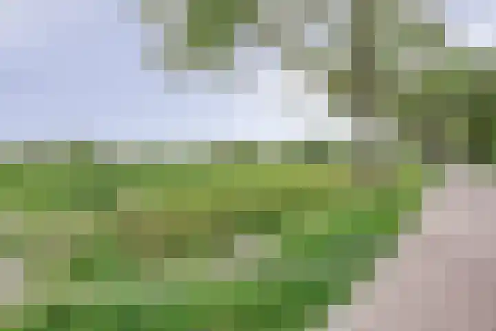 Blauwstraat 8 Maasbommel thumbnail 35