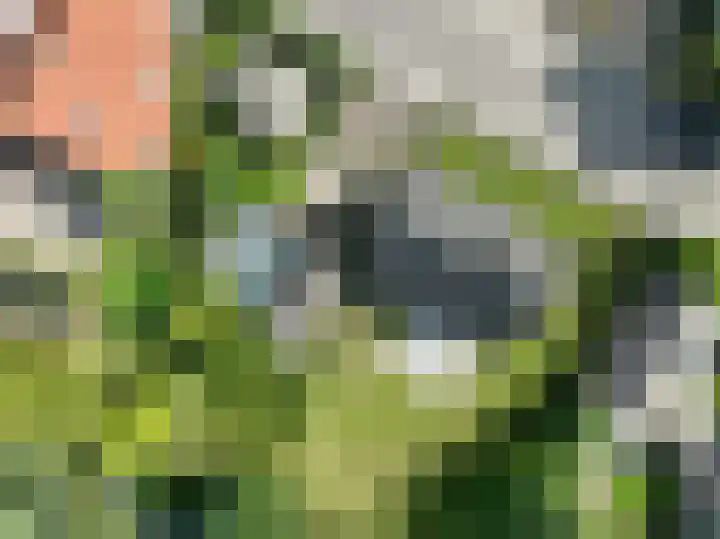 Blauwstraat 8 Maasbommel thumbnail 36