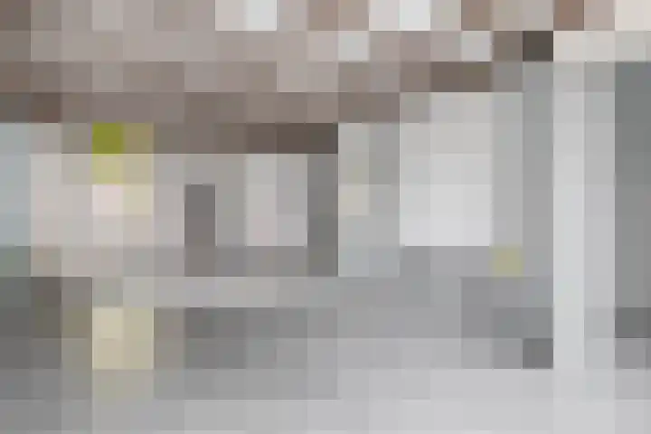 Blauwstraat 8 Zundert thumbnail 12