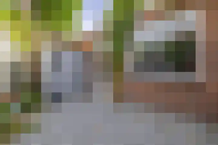 Blauwstraat 8 Zundert thumbnail 18