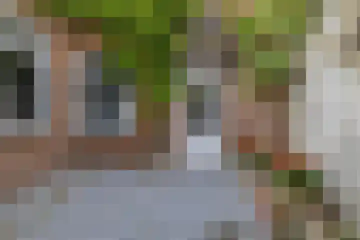 Blauwstraat 8 Zundert thumbnail 5