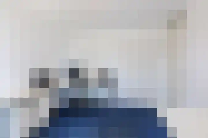 Blauwtjes 150 Breda thumbnail 15