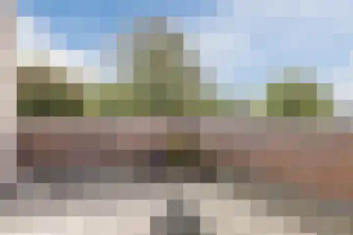Blauwtjes 150 Breda thumbnail 23