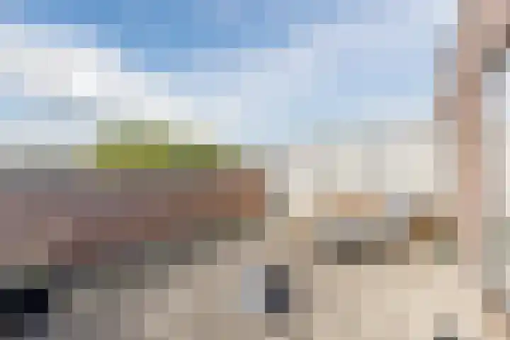 Blauwtjes 150 Breda thumbnail 24
