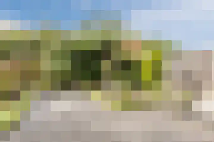 Blauwtjes 150 Breda thumbnail 27