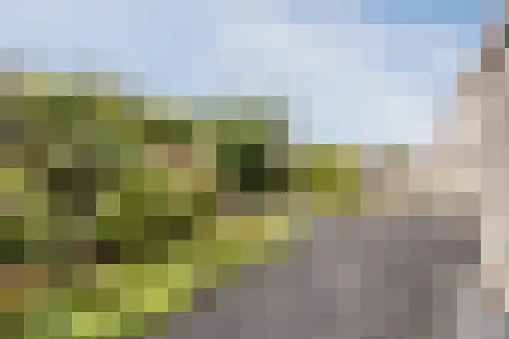 Blauwtjes 150 Breda thumbnail 28