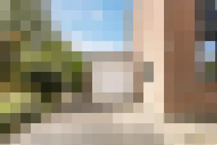 Blauwtjes 150 Breda thumbnail 31