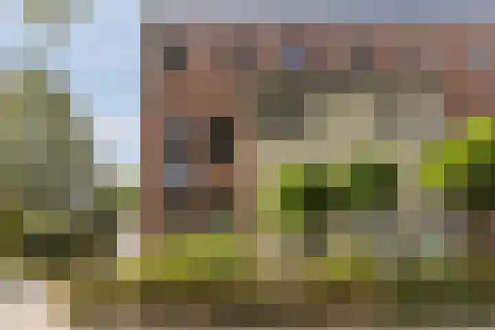 Blauwtjes 150 Breda thumbnail 32
