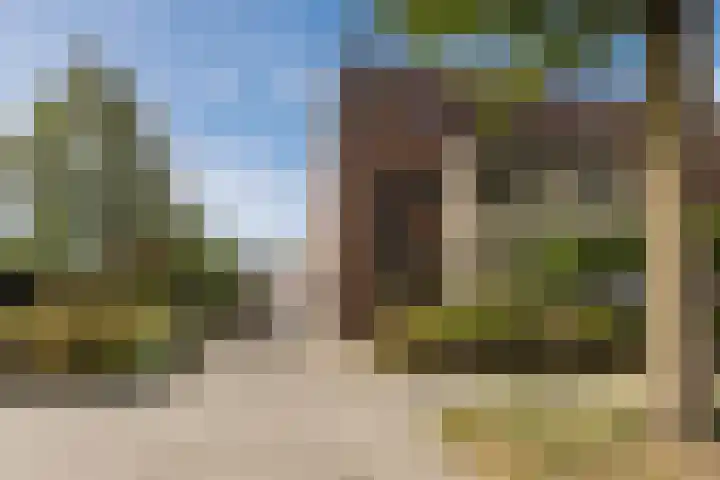 Blauwtjes 150 Breda thumbnail 33