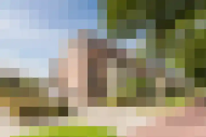 Blauwtjes 150 Breda thumbnail 34