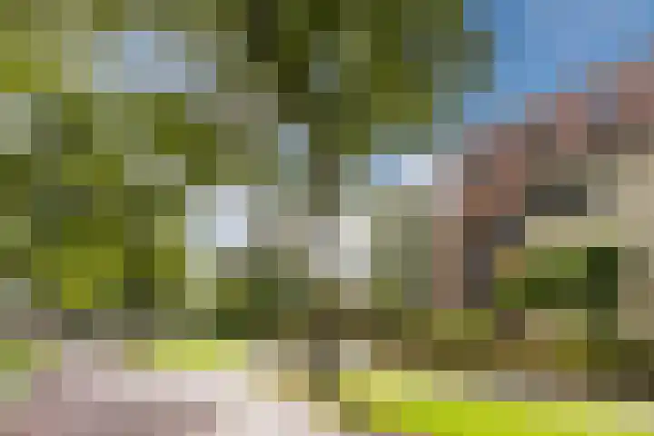 Blauwtjes 150 Breda thumbnail 35