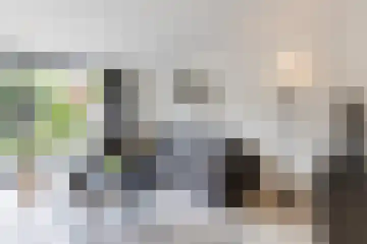 Blauwtjes 150 Breda thumbnail 5