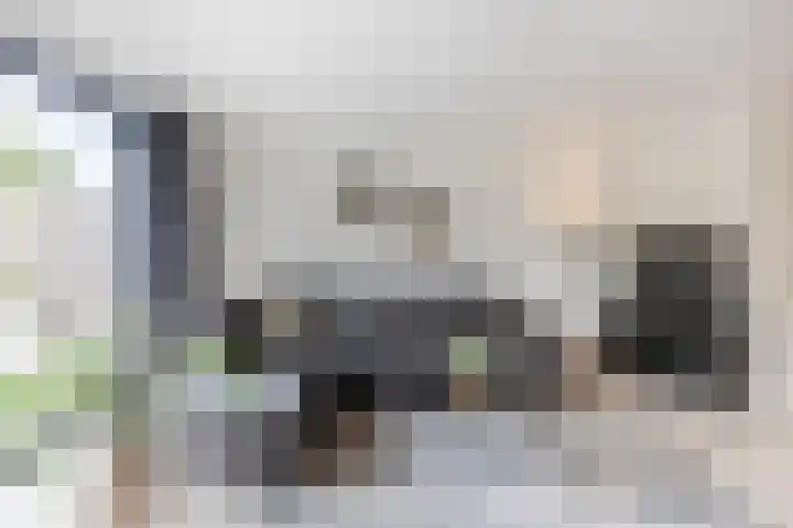 Blauwtjes 150 Breda thumbnail 6