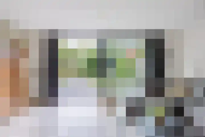 Blauwtjes 150 Breda thumbnail 7