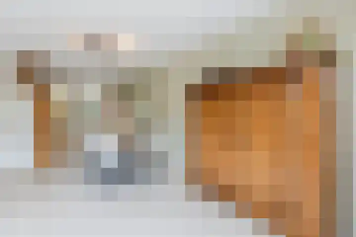 Blauwtjes 150 Breda thumbnail 8