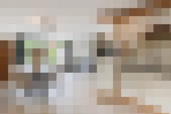 Blauwtjes 150 Breda thumbnail 9