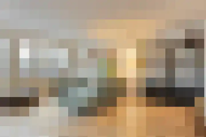 Blauwtjes 45 Breda thumbnail 15