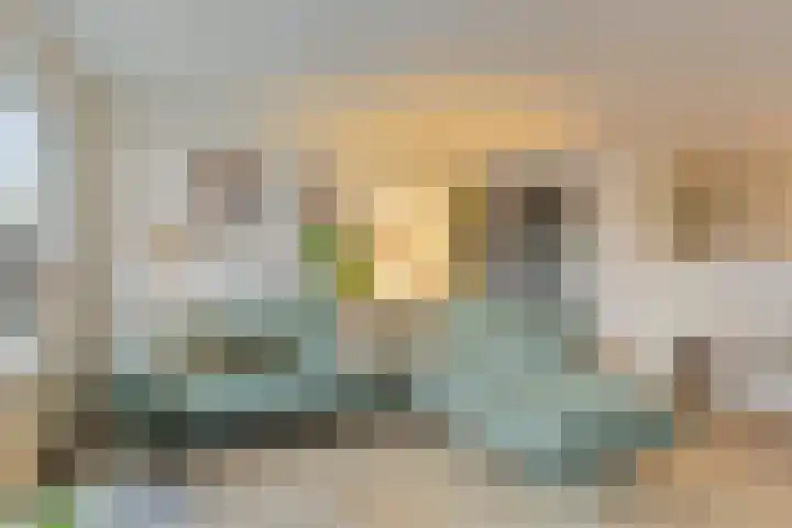 Blauwtjes 45 Breda thumbnail 16