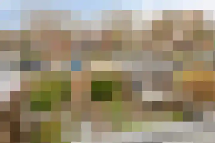 Blauwtjes 45 Breda thumbnail 21