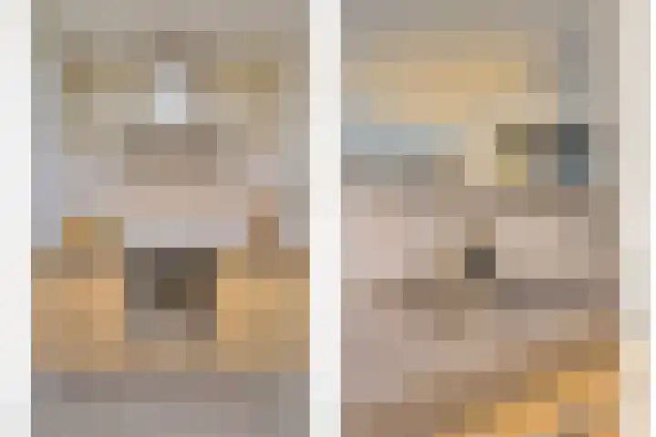 Blauwtjes 45 Breda thumbnail 24