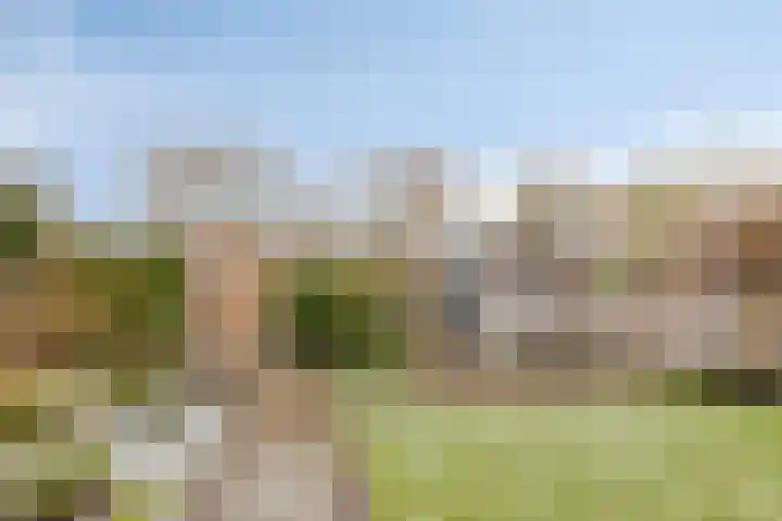Blauwtjes 45 Breda thumbnail 25
