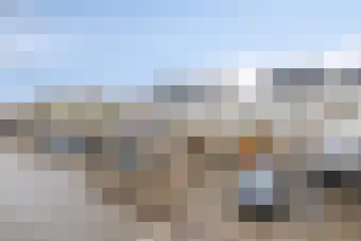 Blauwtjes 45 Breda thumbnail 30