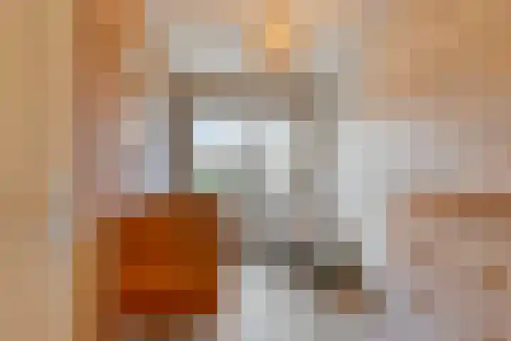 Blauwtjes 45 Breda thumbnail 9