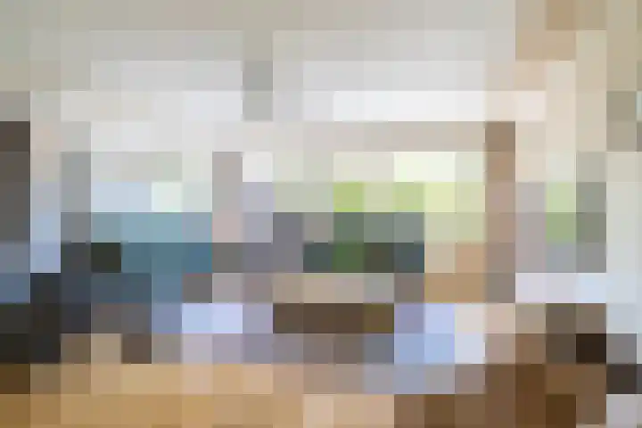 Blauwtjes 7 Breda thumbnail 16
