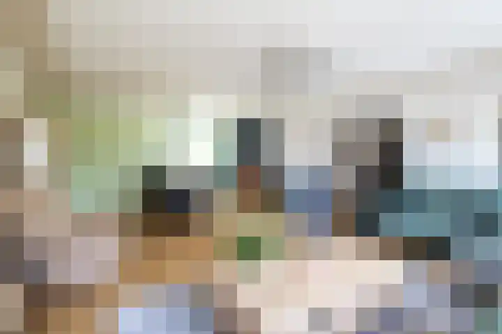 Blauwtjes 7 Breda thumbnail 17
