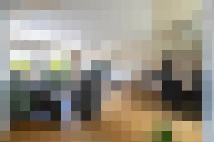 Blauwtjes 7 Breda thumbnail 18