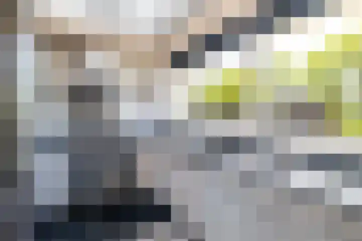 Blauwtjes 7 Breda thumbnail 29