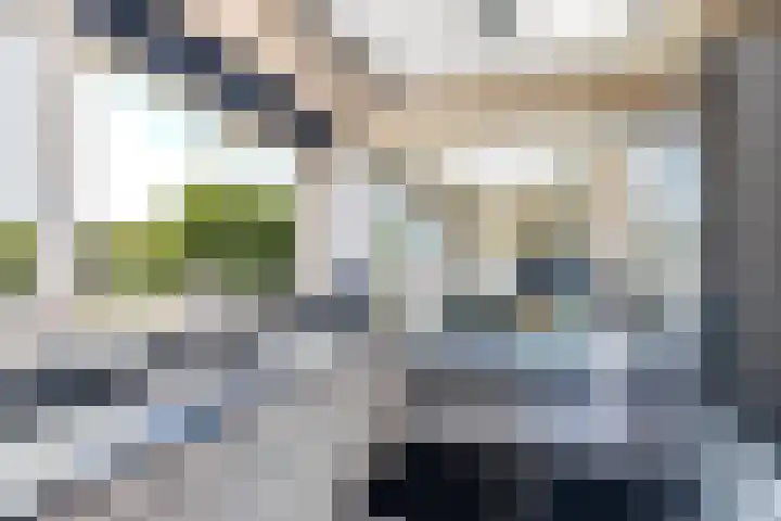 Blauwtjes 7 Breda thumbnail 30