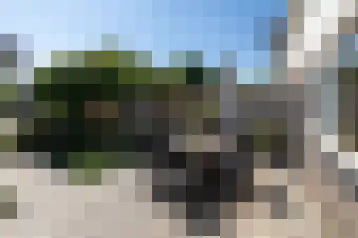 Blauwtjes 7 Breda thumbnail 42