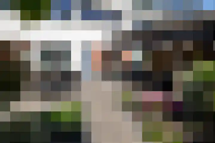 Blauwtjes 7 Breda thumbnail 5