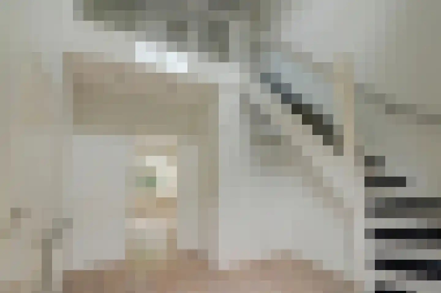 Blauwveen 5 Wateringen thumbnail 12