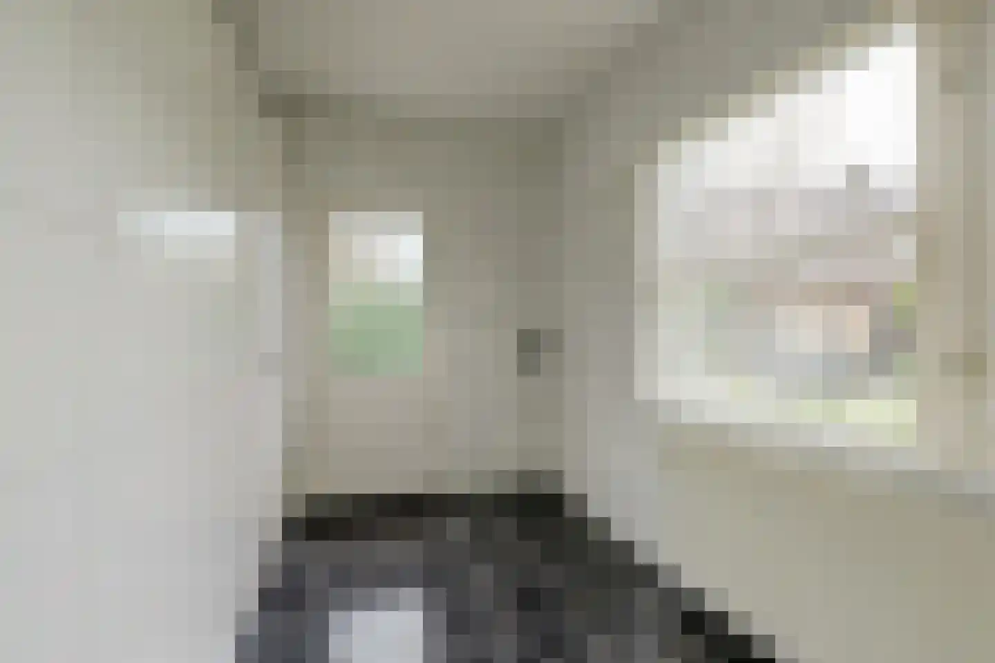 Blauwveen 5 Wateringen thumbnail 22